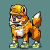 DogePunks #3470