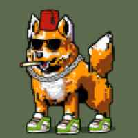 DogePunks #4537