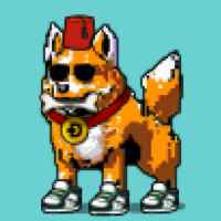 DogePunks #3738