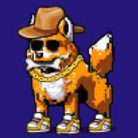 DogePunks #2916