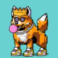 DogePunks #4096