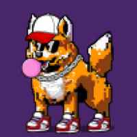 DogePunks #3006