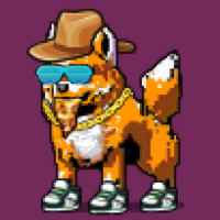 DogePunks #2576