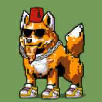 DogePunks #72