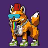 DogePunks #2564