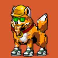 DogePunks #3833
