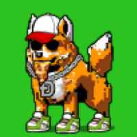 DogePunks #4004