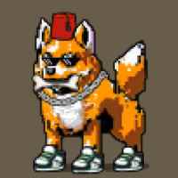 DogePunks #444