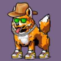 DogePunks #1239