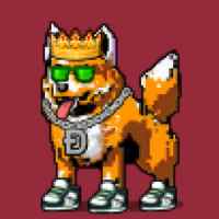 DogePunks #846