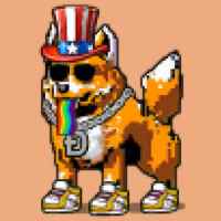 DogePunks #1401