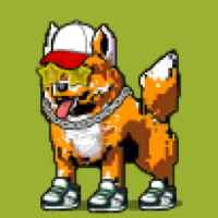 DogePunks #4187