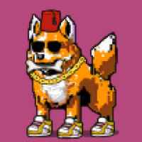 DogePunks #3970