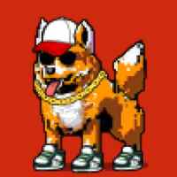 DogePunks #4965