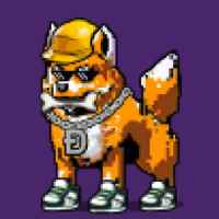 DogePunks #1104