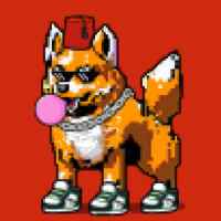 DogePunks #4923