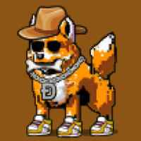 DogePunks #3135