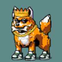DogePunks #343