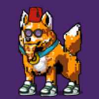 DogePunks #1021