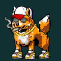 DogePunks #2602