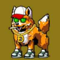DogePunks #3009