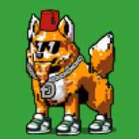 DogePunks #1747