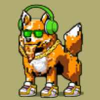 DogePunks #345