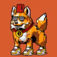 DogePunks #3574