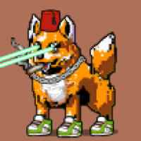 DogePunks #1163
