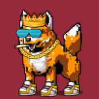 DogePunks #3858