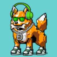 DogePunks #2147