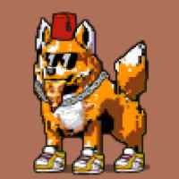 DogePunks #564