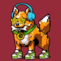 DogePunks #473