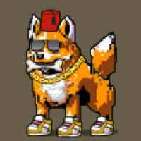 DogePunks #3066