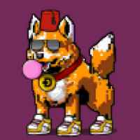 DogePunks #4951