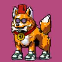 DogePunks #3840
