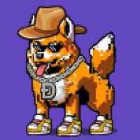 DogePunks #793