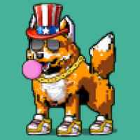 DogePunks #4971