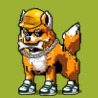 DogePunks #757