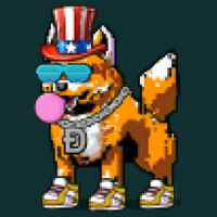 DogePunks #1157