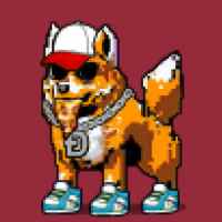 DogePunks #4146
