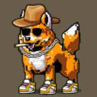 DogePunks #1973