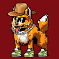 DogePunks #1927