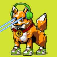 DogePunks #2079