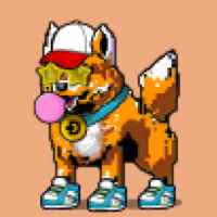 DogePunks #3489