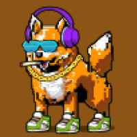 DogePunks #2497