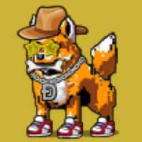 DogePunks #4676