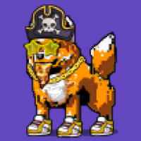 DogePunks #798