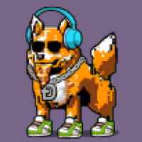 DogePunks #1238
