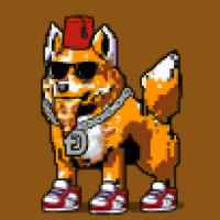 DogePunks #4729